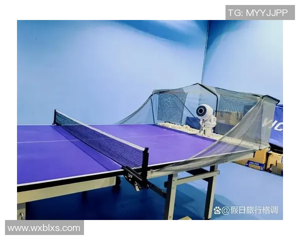 杨秀英独家分享乒乓球技巧与心得体会助你提升球技的秘密秘籍